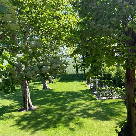 Gulfhof Dreybuelt Dreybuelt 5 Klaas * دورنوم