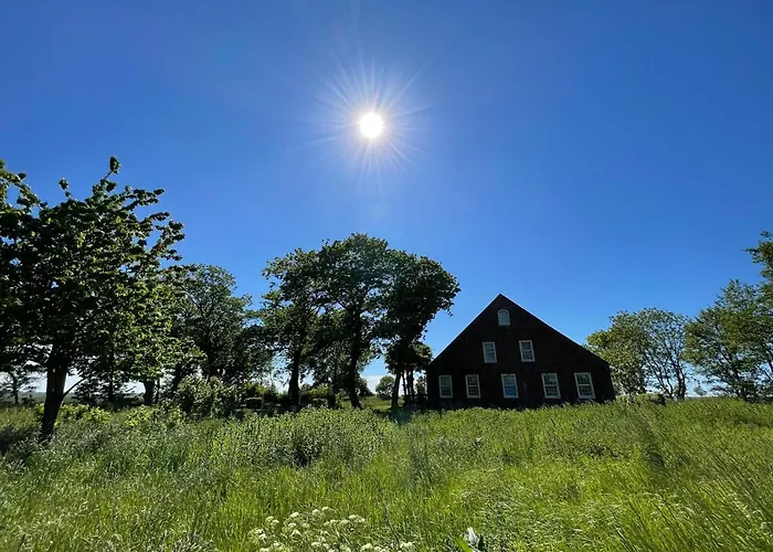 Gulfhof Dreybült Dreybült 5 Klaas Daire Dornum