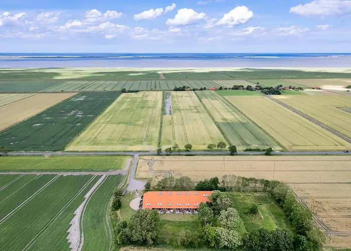 Gulfhof Dreybült Dreybült 5 Klaas Daire *